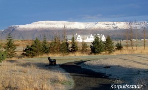 korpulf